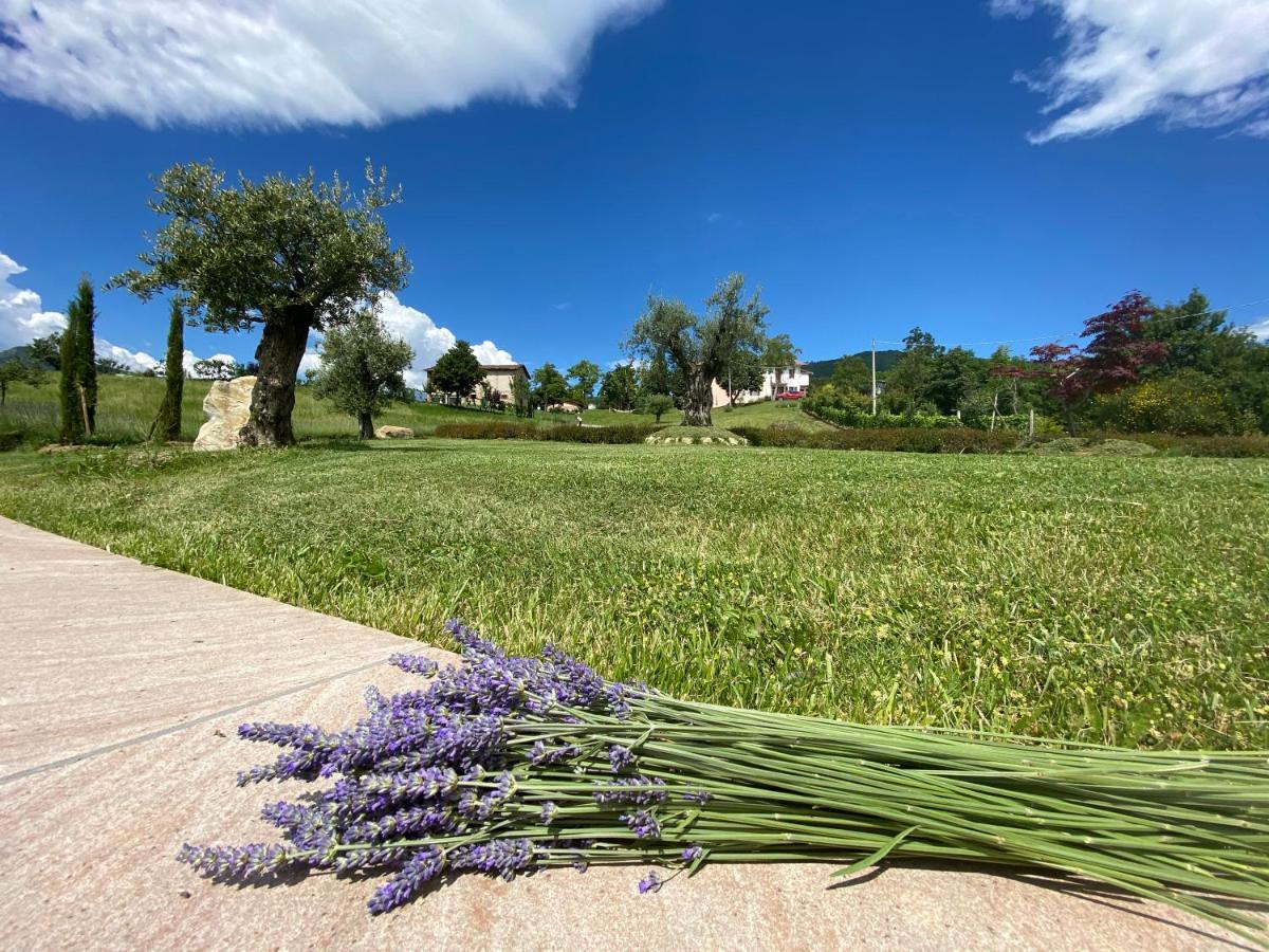 L'Oca Giuliva Relais Bed and Breakfast Gaggio Montano Exteriör bild